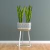 botle Planter, Flower Pot, Cachepot, Orchid Pot, 600 mm, Gray/Mint view 3