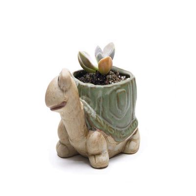 Uteruik Ceramic Flower Pot, Cute Turtle Design