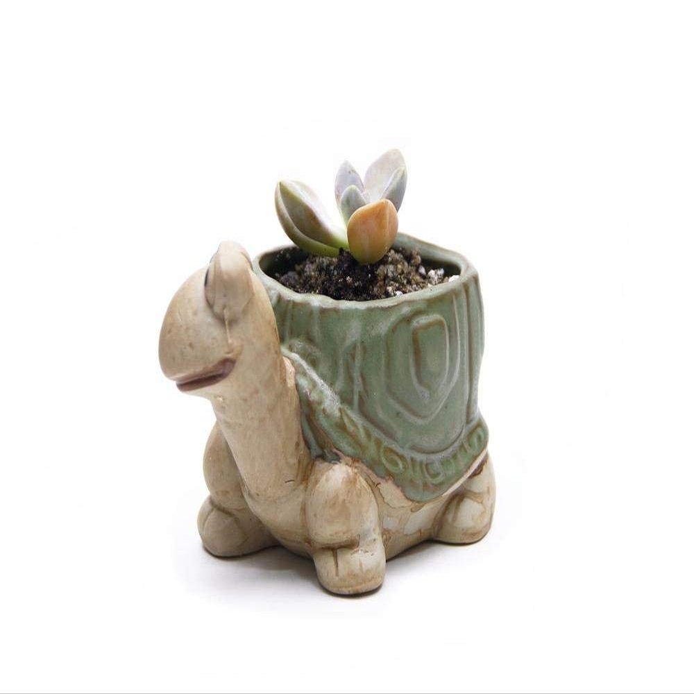 Uteruik Ceramic Flower Pot, Cute Turtle Design
