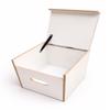 Freizeit - Wittke White Toilet Stool for Porta Potti 145/345, incl. Blue Cushion, Toilet Not Included view 4