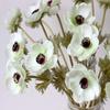 Calcifer 5-Piece 51 cm PU Artificial Anemone Flowers, White view 4