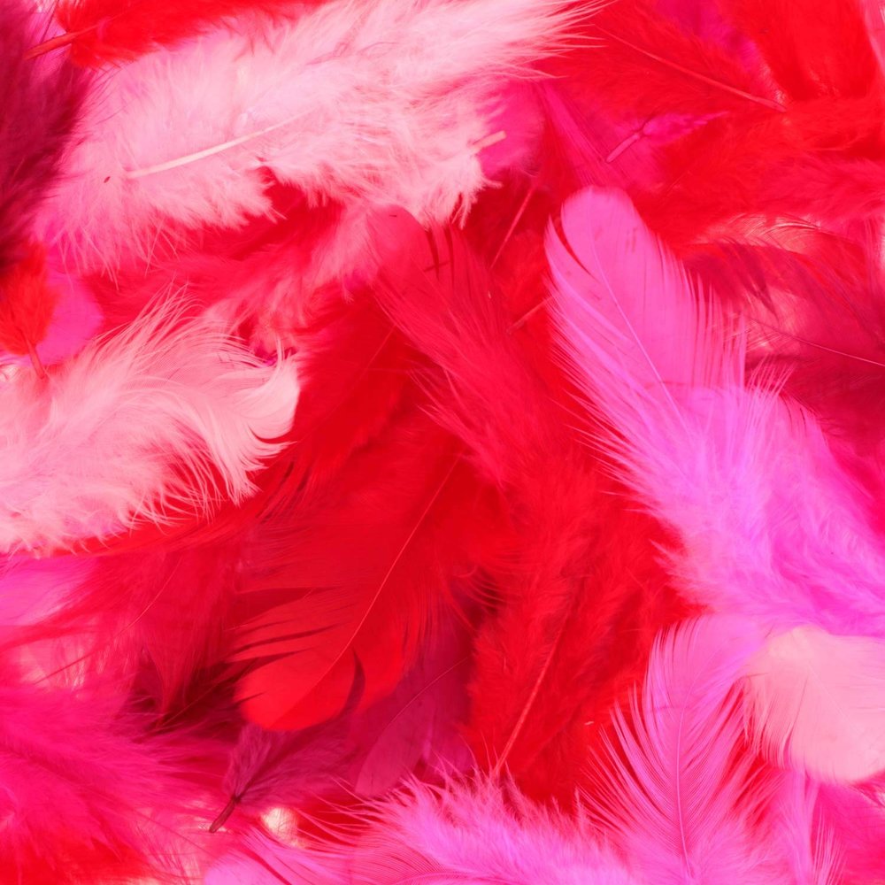 Artemio Feathers, No, Regular