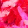 Artemio Feathers, No, Regular view 1