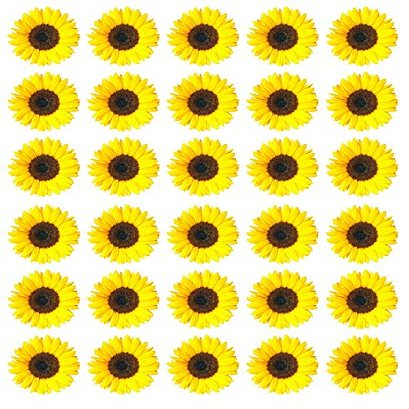 Edible Sunflower Cupcake Toppers, Yellow, 30 Count