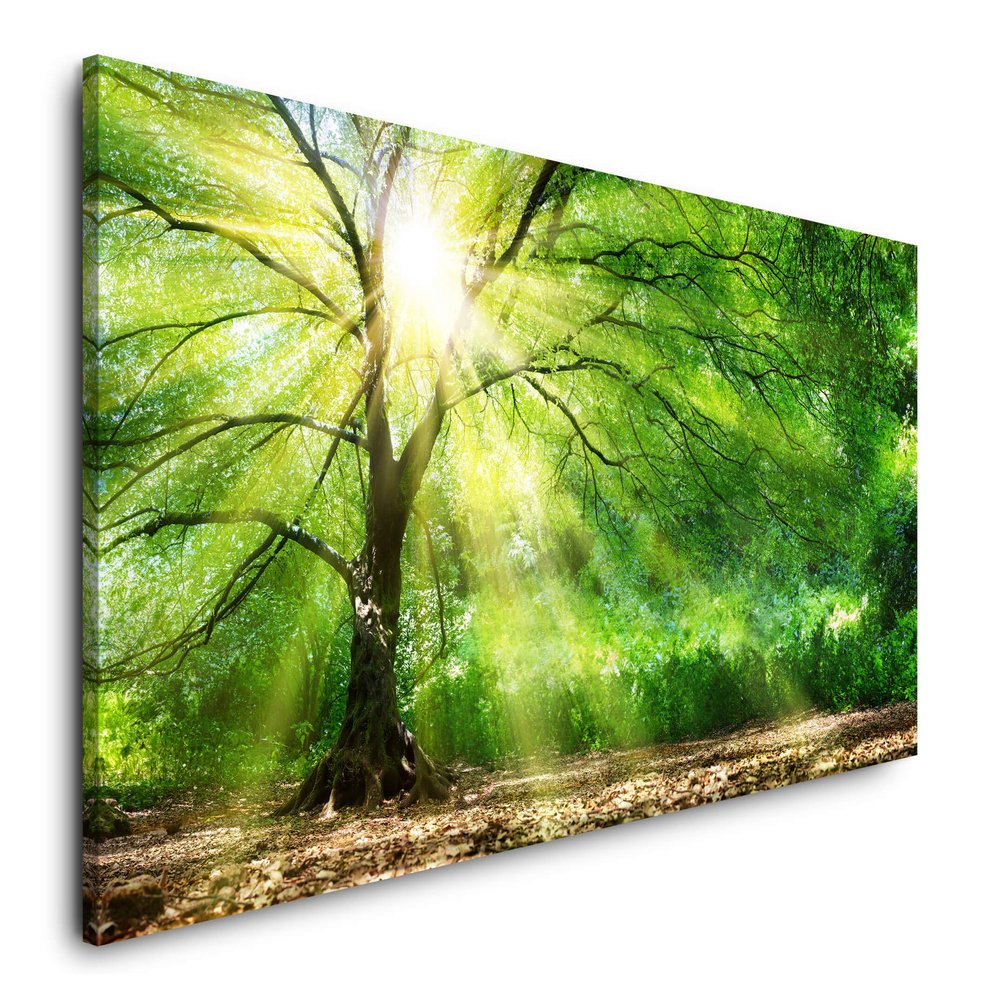 Tree with Sun Rays in Winter, 120 x 60 cm Panoramic Canvas Wall Art