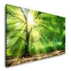Tree with Sun Rays in Winter, 120 x 60 cm Panoramic Canvas Wall Art view 1
