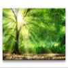 Tree with Sun Rays in Winter, 120 x 60 cm Panoramic Canvas Wall Art view 2