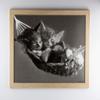 myposterframe Kallisto Modern Wood-Effect Picture Frame 29 x 71 cm, Sonoma Oak, 1 mm Clear Acrylic Glass view 3