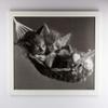myposterframe Kallisto Modern Wood-Based Picture Frame, 25 × 57 cm, White, with 1 mm Clear Acrylic Glass view 3