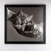 myposterframe Kallisto Modern Wood-Composite Picture Frame, 33 x 72 cm, Matte Black, 1 mm Clear Acrylic Glass view 3