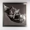 myposterframe Kallisto Modern Wood-Composite Picture Frame, 34 x 48 cm, Stainless Steel Finish, 1 mm Clear Acrylic Glass view 3