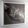 myposterframe Kallisto Modern Wood-Composite Picture Frame, 48 x 69 cm, White, Clear 1 mm Acrylic Glass view 4