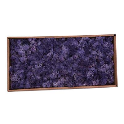 Tubayia Dried Natural Reindeer Moss for Décor and Crafts