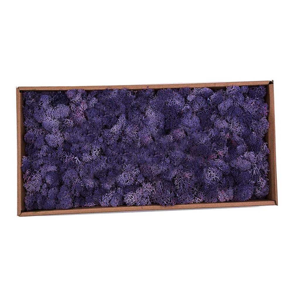 Tubayia Dried Natural Reindeer Moss for Décor and Crafts