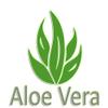 Alanpur Vita Orthopedic Cold Foam Mattress H2.5, 13 cm, Aloe Vera Cover, 105 x 180 cm view 2