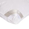 Hofmann Sibiria Winter Down Comforter, 155 x 200 cm, Warm view 3