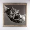myposterframe Kallisto Modern Wood-Effect Picture Frame, 41 x 75 cm, Rustic Oak, 1 mm Anti-Glare Acrylic Glass view 3