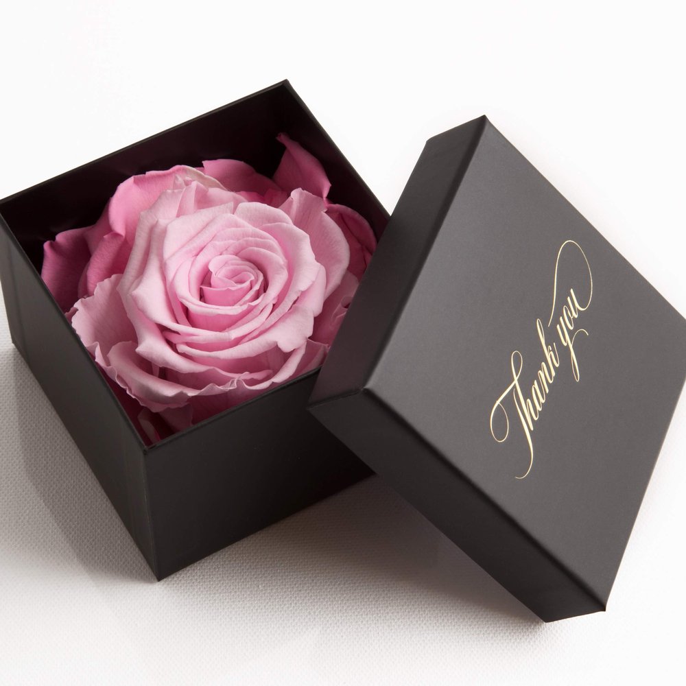 ROSEMARIE SCHULZ Heidelberg Thank You Preserved Rose in Rose Box, Pink, 1 Rose