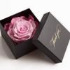 ROSEMARIE SCHULZ Heidelberg Thank You Preserved Rose in Rose Box, Pink, 1 Rose view 1