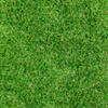 Steffensmeier Wimbledon Artificial Grass, 26 mm, 1,069 g/m², UV-Resistant, Smart Collection – Green, 100 x 750 cm view 2