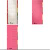 LEITZ Extra-Strong Blank A4 Cardboard Dividers, 6-Part view 1