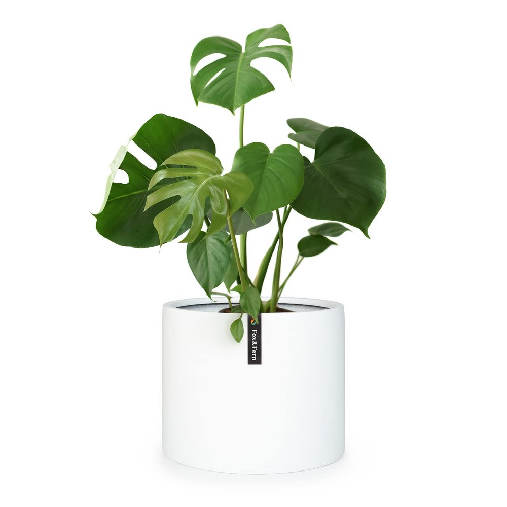 Fox&Fern XXL Planter, Matte White, 50 cm Diameter, with Drainage