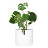 Fox&Fern XXL Planter, Matte White, 50 cm Diameter, with Drainage view 1