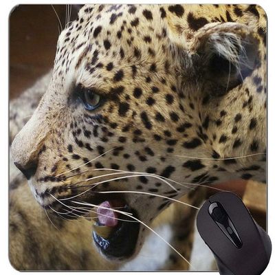 Custom Gaming Mouse Pad, Jaguar Cat Family Leopard
