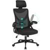 Yaheetech Ergonomic Office Chair with Headrest, Black view 1