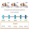 FDM FORTE MAX Pocket Spring Mattress 100 x 200 cm, 7 Zones, H2/H4, 25 cm view 4