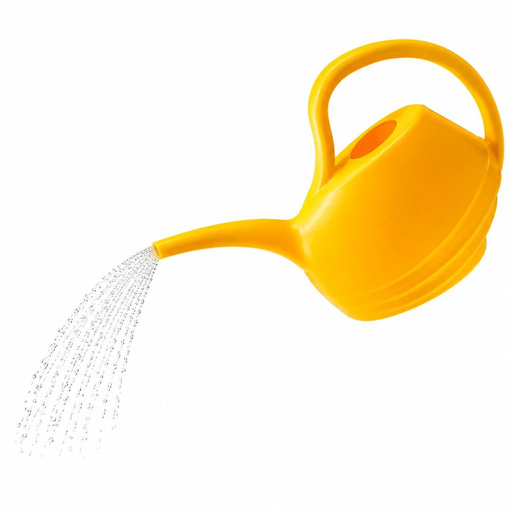 Riegolux 752036 Aladino Watering Can, 2 L