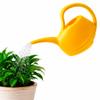 Riegolux 752036 Aladino Watering Can, 2 L view 2