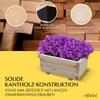 alfalux Raised Bed 60 x 40 x 30H cm Wooden Planter Box 60KAN4030 view 3