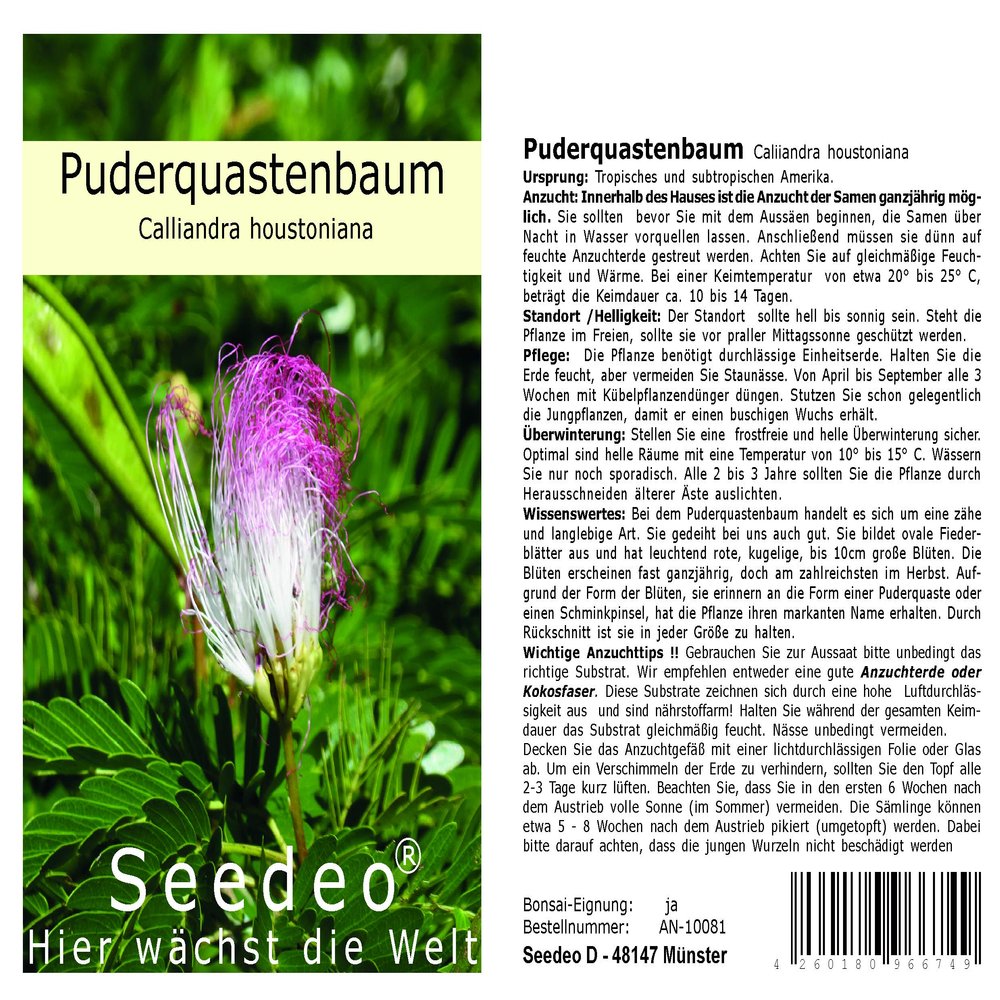 Seedeo Red Powder Puff Tree (Calliandra houstoniana), 20 Seeds
