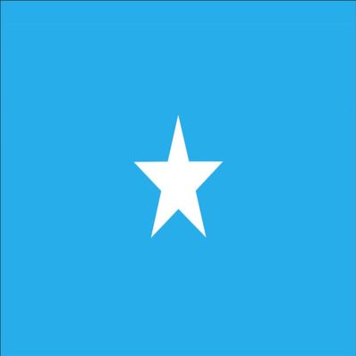 flaggenmeer Somalia Flag, 120 g/m, approx. 30 x 45 cm