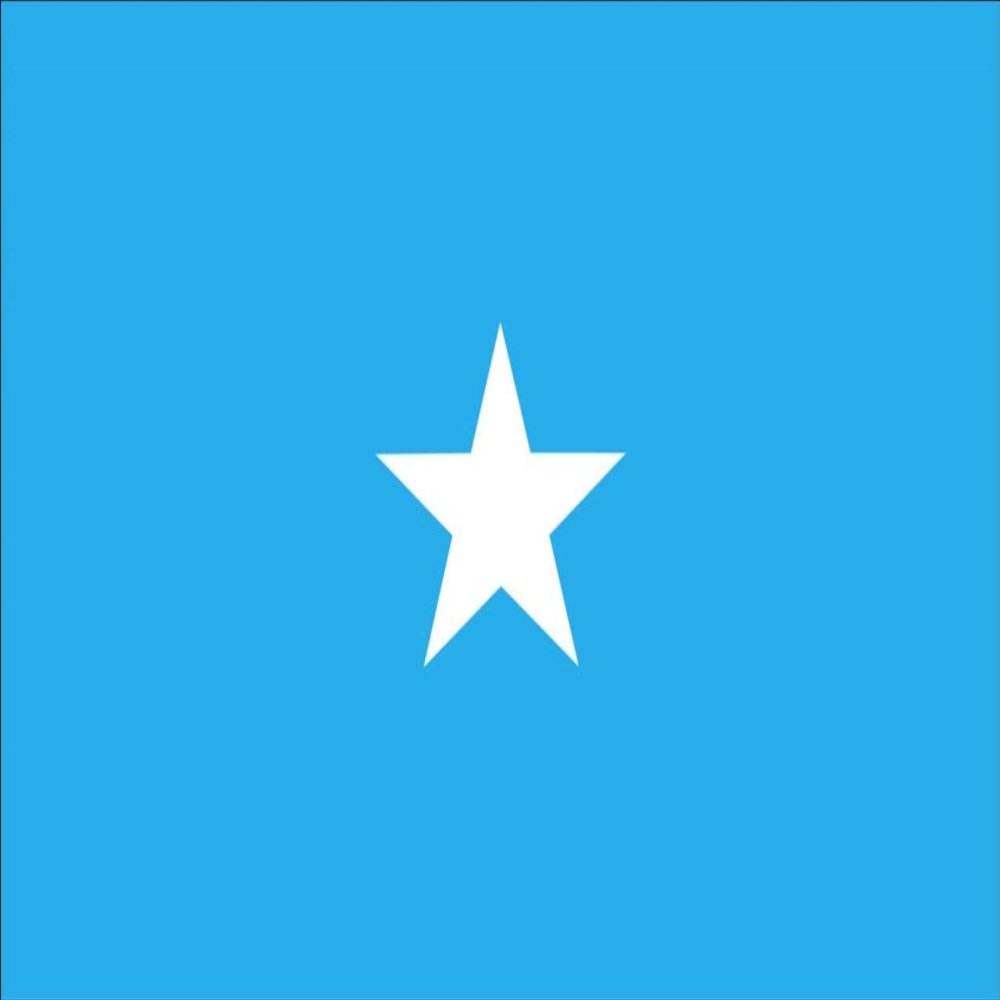 flaggenmeer Somalia Flag, 120 g/m, approx. 30 x 45 cm
