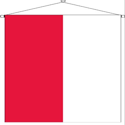 flaggenmeer Hesse Flag Banner, 110 g/m², approx. 300 x 120 cm, with banner hardware
