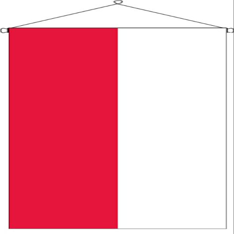 flaggenmeer Hesse Flag Banner, 110 g/m², approx. 300 x 120 cm, with banner hardware