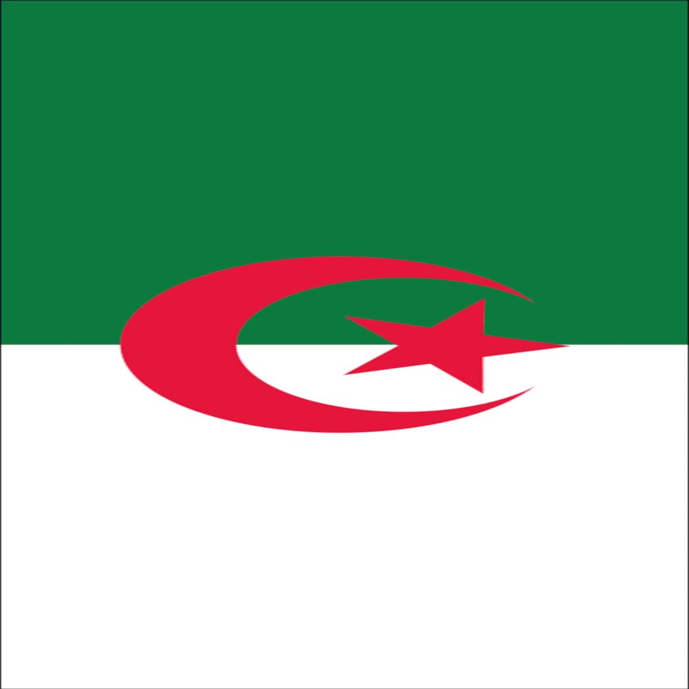 flaggenmeer Algeria Flag Banner 160 g/m², approx. 200 x 80 cm, without mounting hardware