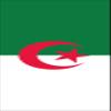flaggenmeer Algeria Flag Banner 160 g/m², approx. 200 x 80 cm, without mounting hardware view 1