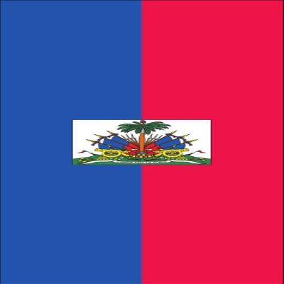 flaggenmeer Haiti Flag with Coat of Arms, 120 g/m, Approx. 200 x 80 cm