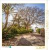 Garden at Son Marroig near Dei, Mallorca Puzzle view 1