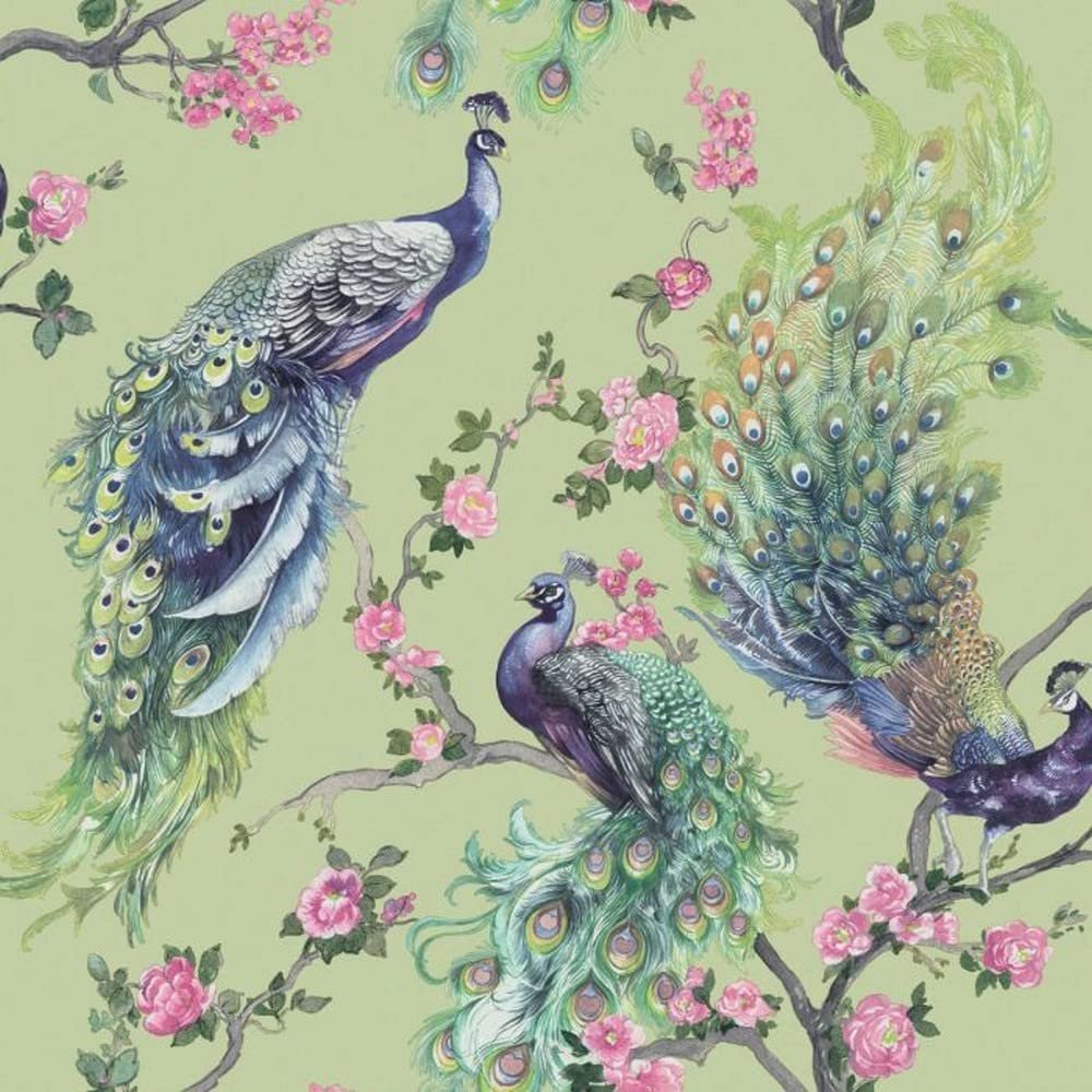 Holden Decor Menali 35921 Vinyl Wallpaper, Glitter Peacock Feathers and Floral Pattern, Green