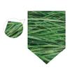 MONTOJ After Raining Green Grass Home Sweet Home Vertical Double-Sided Garden Flag, Outdoor Yard Decor, Polyester, 1, 12 x 18.5 in view 3