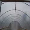 WGE Greenhouse Polyethylene Film, 5 m (16.4 ft) Wide, 2–50 m Long, Transparent Plastic Sheeting, 5 × 3 m view 3