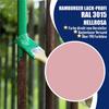 Matte Metal Protective Coating, Coral Pink RAL 3015, Metal Paint, Hamburger Lack-Profi (10 L) view 2