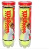 Wilson Championship Synthetic Tennis Balls, 2 Cans (Yellow) view 1
