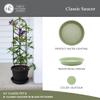 The HC Companies 14-Inch Round Plastic Plant Saucer for Indoor and Outdoor Use, 14 x 14 x 2.5 in, Seafoam view 2