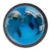 EZIOLY 3 Dolphin-Pattern Decorative Cabinet Knobs, 4-Pack view 1
