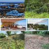 I.C.ELAINE Flame-Retardant Forest Camouflage Net view 4